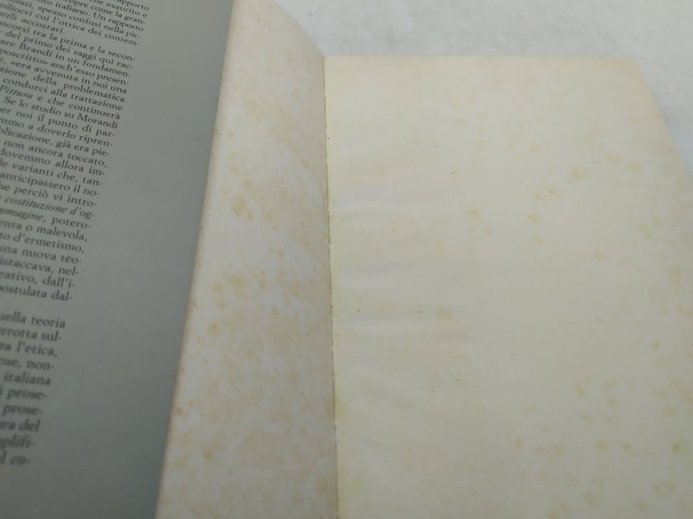 cesare brandi morandi riuniti