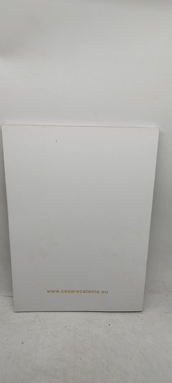 cesare catania contemporary art catalogue written and edited by cesare …