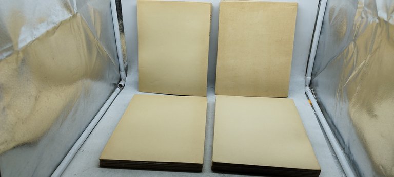 ceuvres completes de paul verlainte illustrees par berhold mahn 8 …