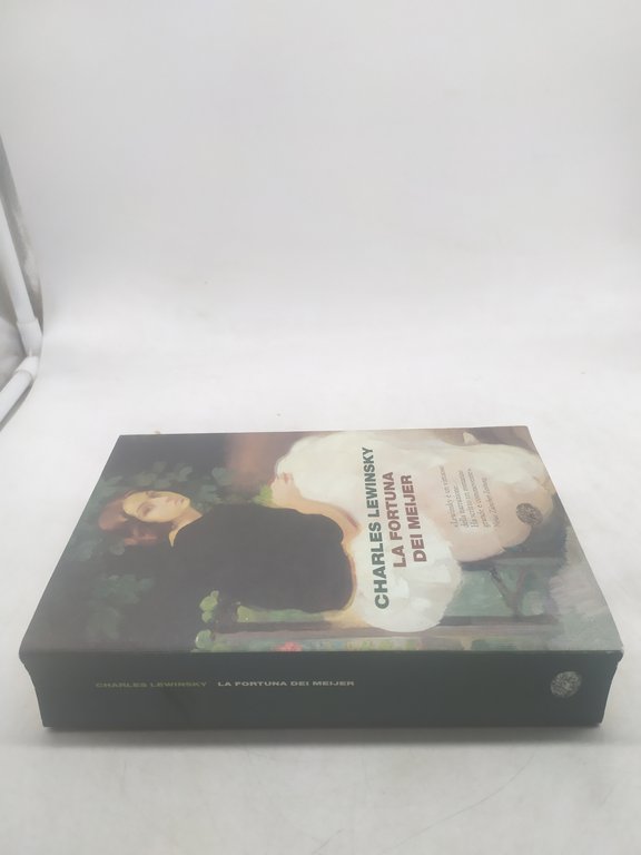 charles lewinsky la fortuna dei meijer einaudi i coralli