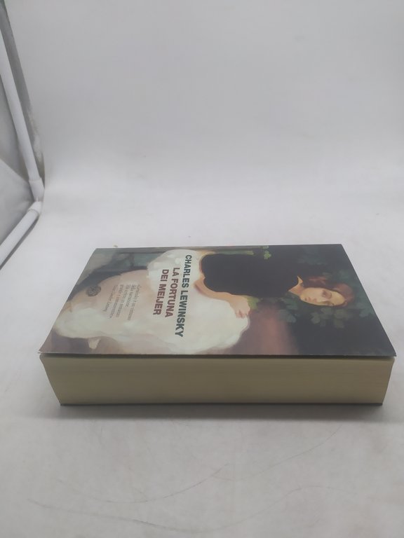 charles lewinsky la fortuna dei meijer einaudi i coralli