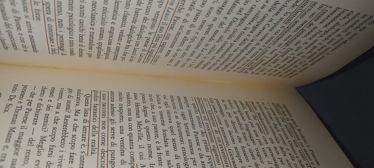 chi l'ha visto biblioteca illustrata dei personaggi pavese | Immagine Gallery 6