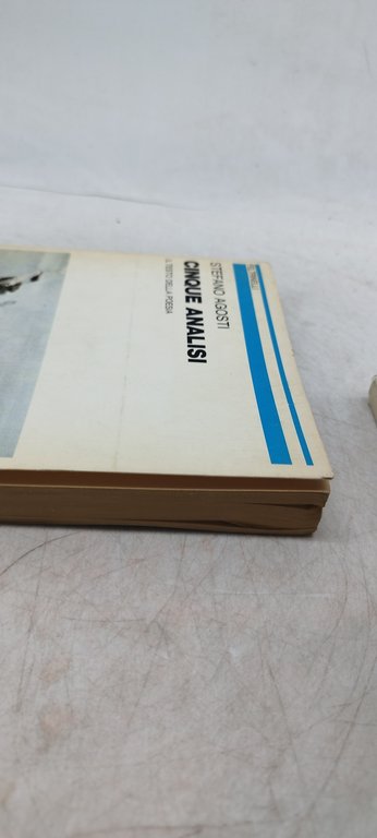 cinque analisi il testo della poesia