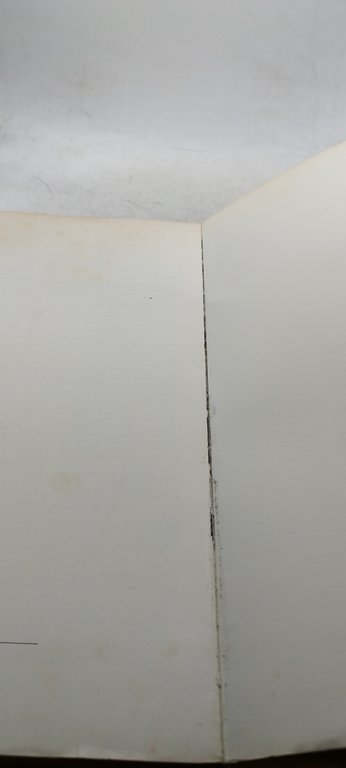 collezione dell'enciclopedia l'arte e l'architettura mazzotta