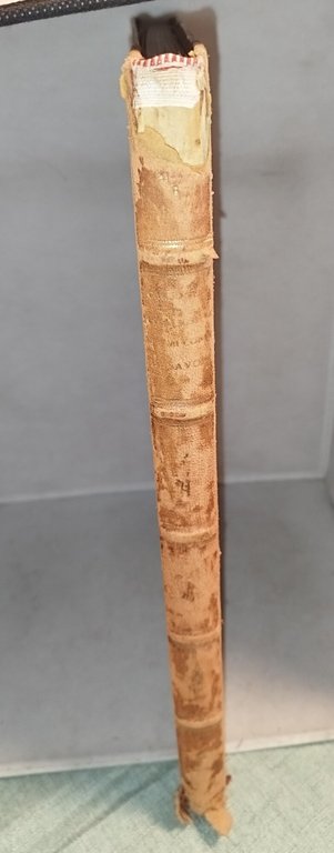 come vissero i primi conti di savoia da umberto biancamano | Immagine Gallery 3