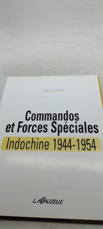 commandos et forces speciales en indochine