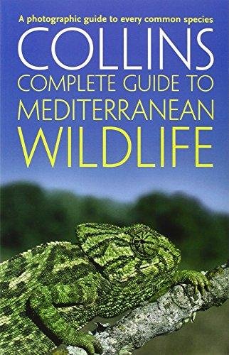 Complete Mediterranean Wildlife: Photoguide