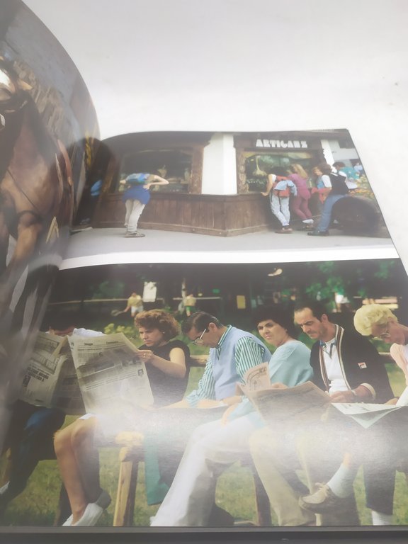 comunità montana agordina agordino matteo editore