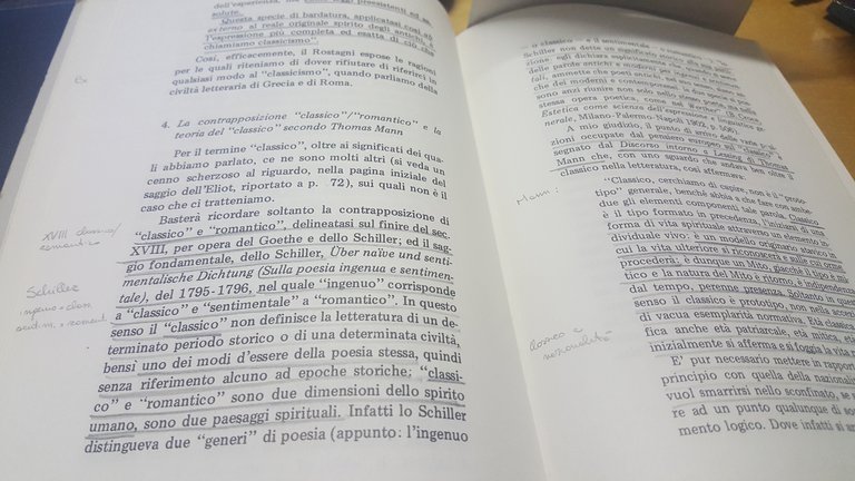 considerazioni sul classico italo lana