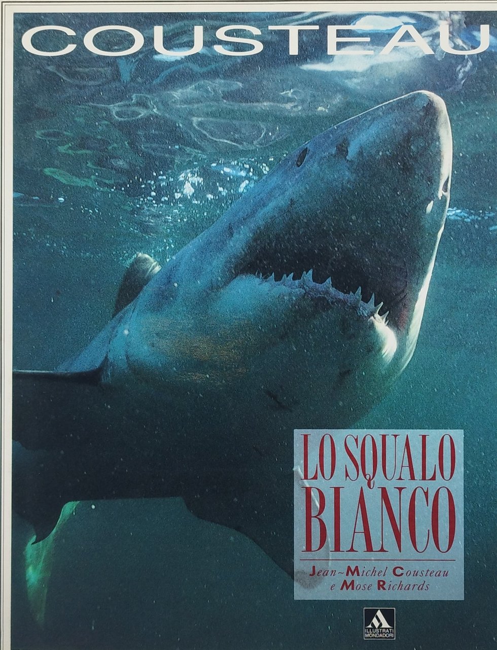 cousteau lo squalo bianco illustrati mondadori