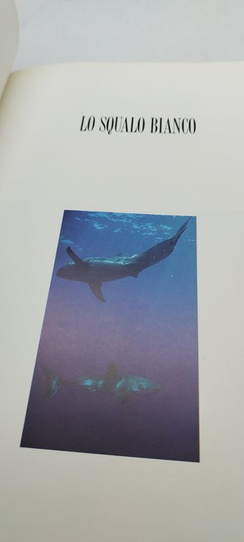 cousteau lo squalo bianco illustrati mondadori