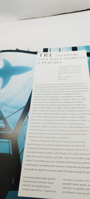 cousteau lo squalo bianco illustrati mondadori