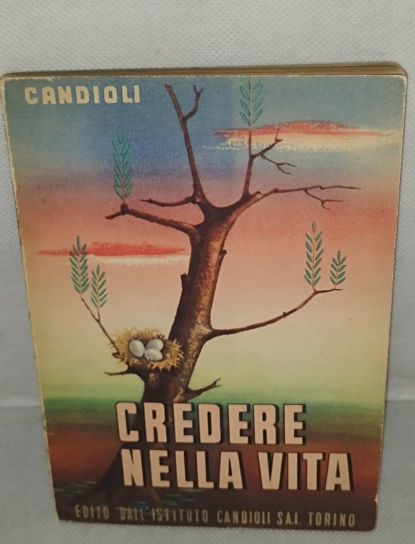 credere nella vita | Immagine Gallery 2