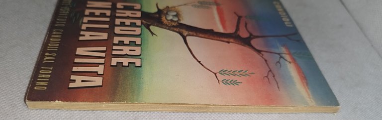 credere nella vita | Immagine Gallery 4