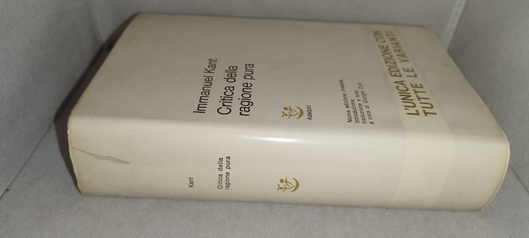 critica della ragione pura