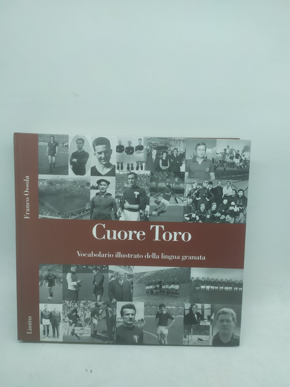 cuore toro vocabolario illustrato della lingua granata