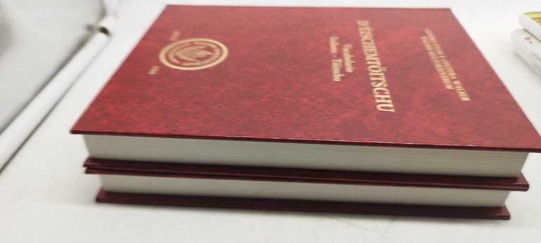 d'èischemtoitschu vocabolario italiano-toitschu -titsch 2 volumi confanetto