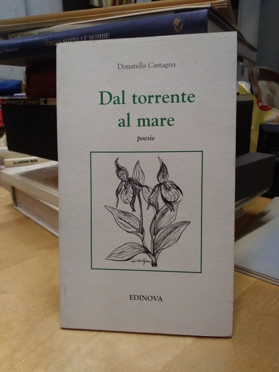 dal torrente al mare poesie donatella castagna