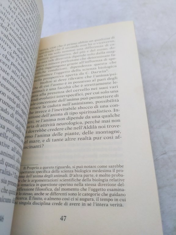 dalla parte del cappone f.j.scaletti lalli editore