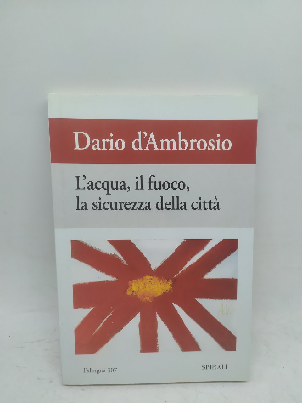 dario d'ambrosio l'acqua il fuoco la sicurezza della città