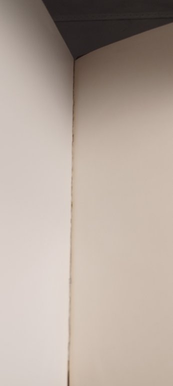 de pisis guido ballo