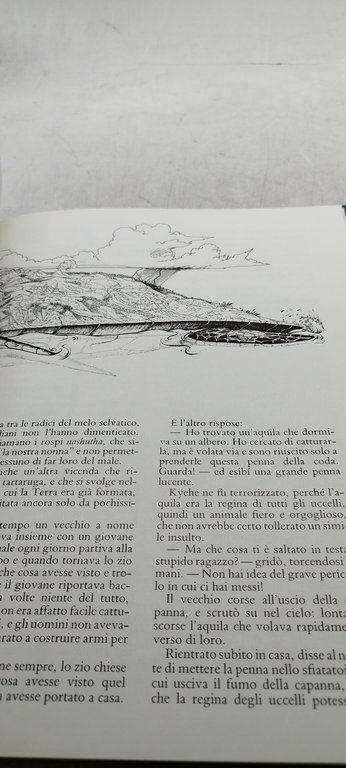 dei e eroi della mitologia nordamericana