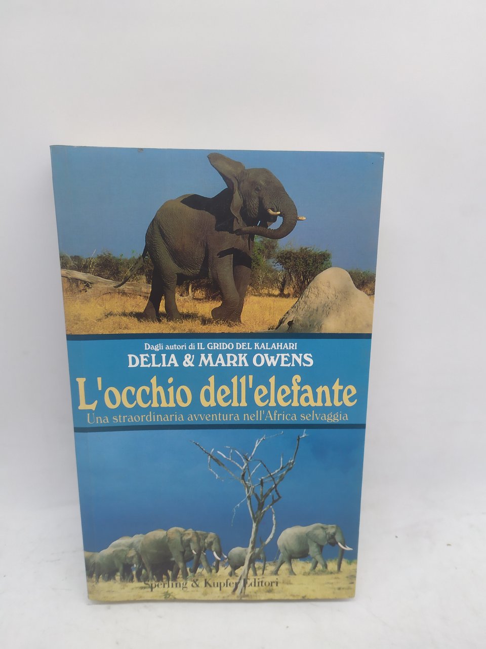 delia &amp; mark owens l'occhio dell'elefante sperling &amp; kupfer