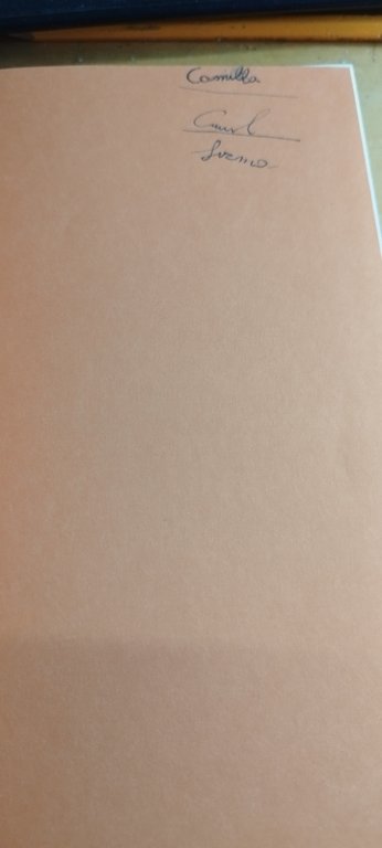 diario di una schiappa 7 volumi