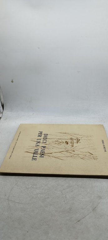 dieci paesi per una valle