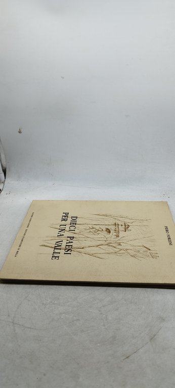 dieci paesi per una valle