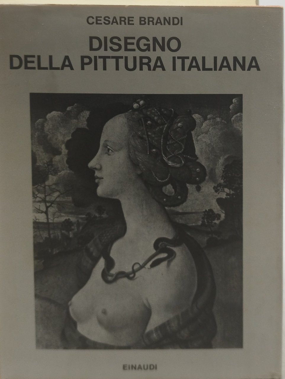 disegno della pittura italiana einaudi