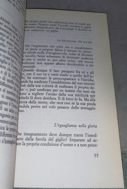 è magnifico essere uomini | Immagine Gallery 5