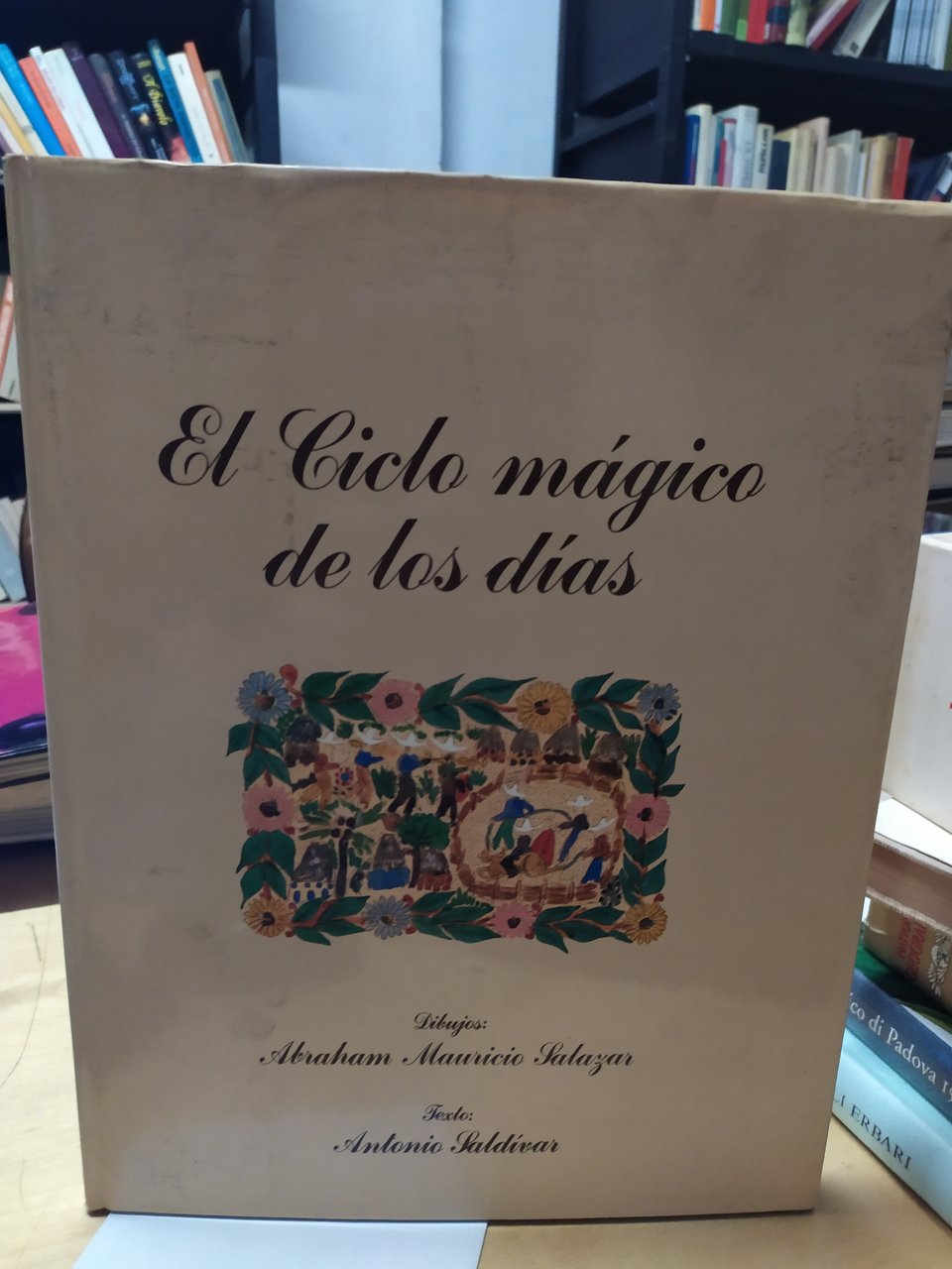 el ciclo magico de los dias