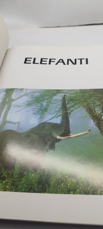 elefanti rizzoli