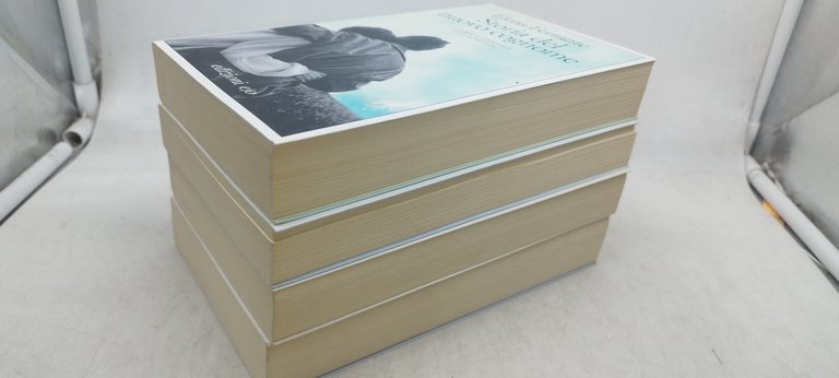 elena ferrante l'amica geniale 4 volumi
