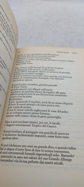 elsa morale il mondo salvato dai ragazzini