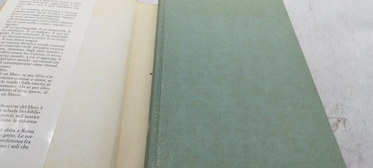 elsa morale il mondo salvato dai ragazzini