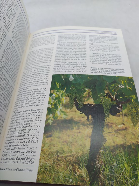 enciclopedia illustrata della bibbia edizioni paoline