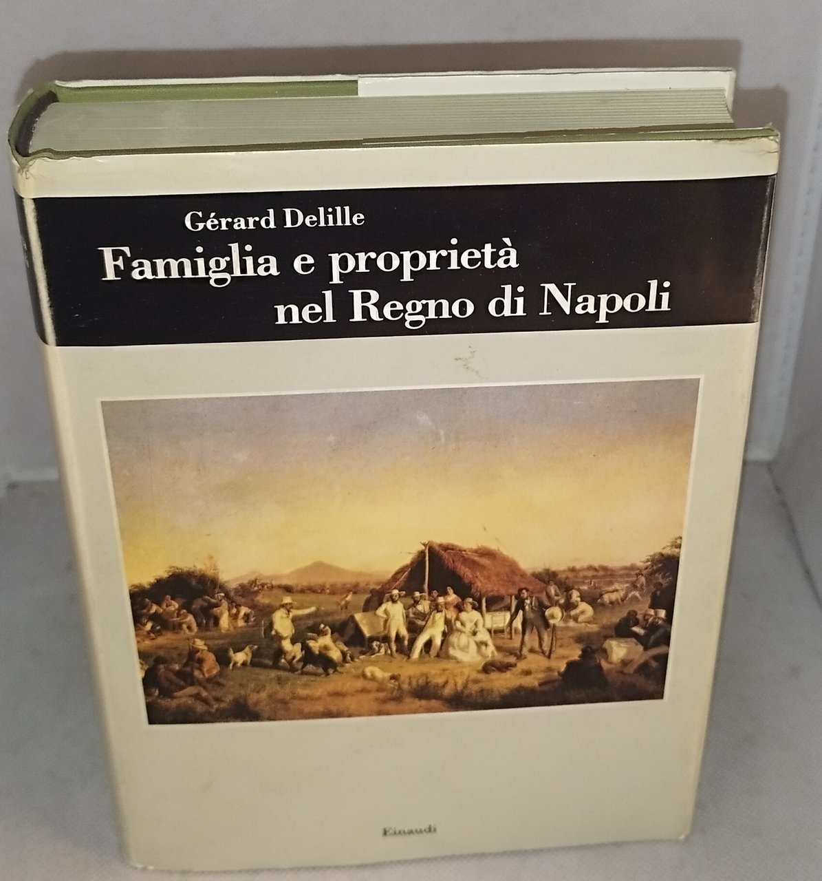famiglia e proprietà nel regno di napoli einaudi | Immagine principale