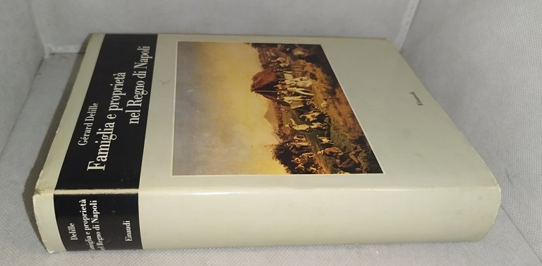 famiglia e proprietà nel regno di napoli einaudi | Immagine Gallery 4