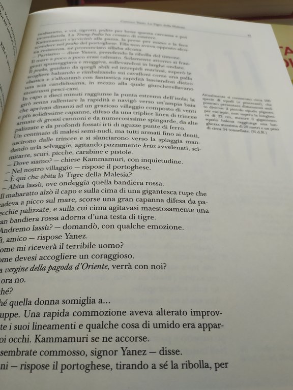 fantasia e avventura i grandi romanzi di emilio salgari 20 …