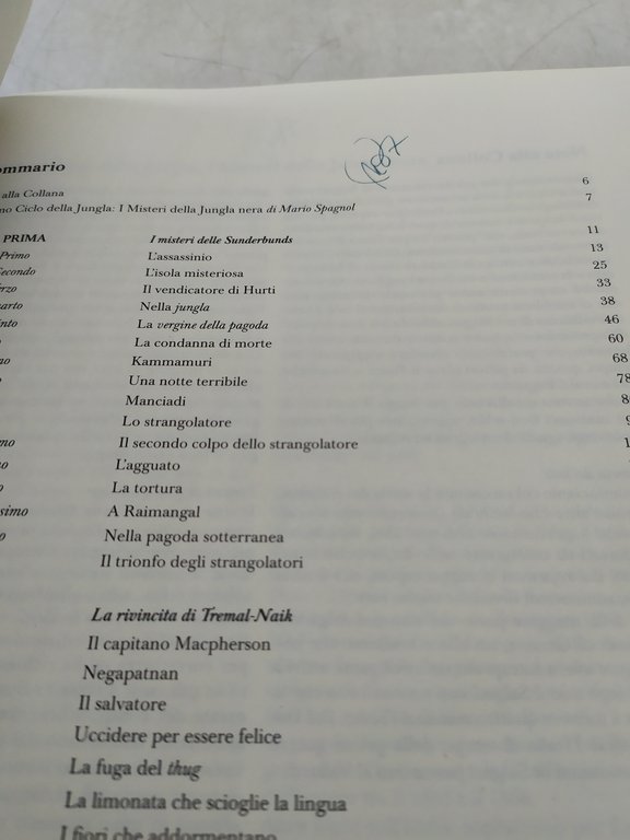 fantasia e avventura i grandi romanzi di emilio salgari 20 …