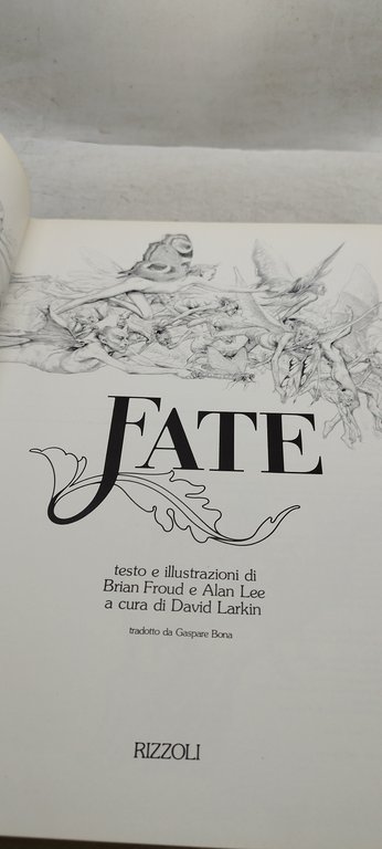 fate david larkin brian froud alan lee rizzoli