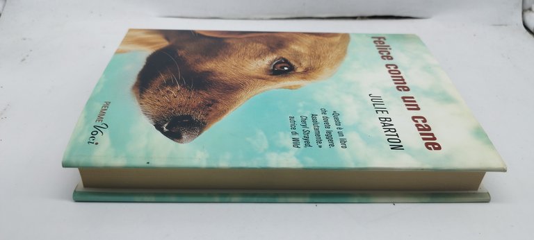 felice come un cane julie barton