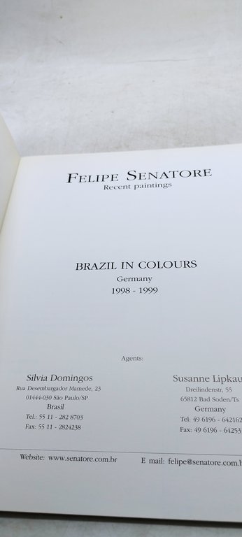 Felipe Senatore. Recent paintings. Brazil in Colours Germany 1998-1999