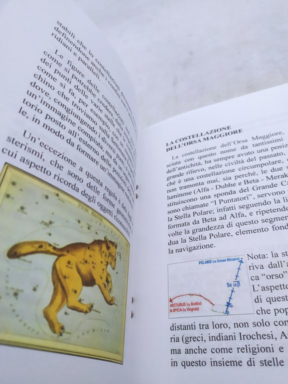 fiorenzo sogni l'orsa maggiore qualche riflessione