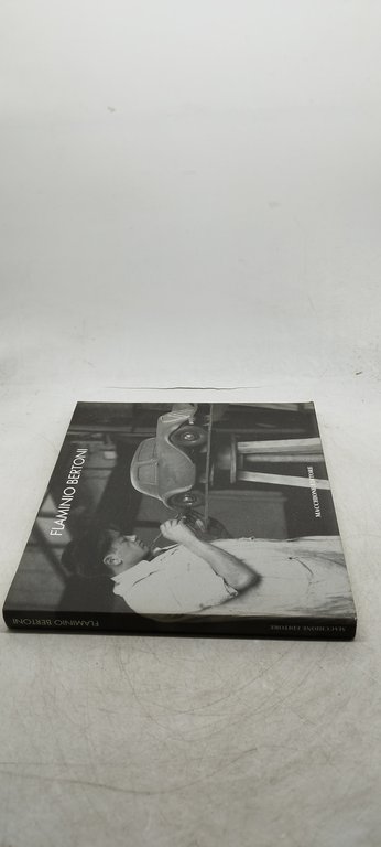 flaminio bertoni macchione editore