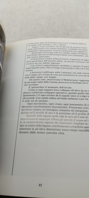 fotografare gli animali per difenderli dall'estinzione