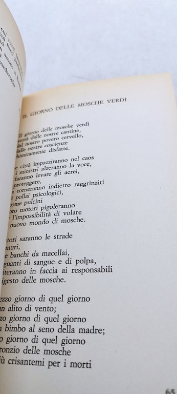 fra bussana e cariddi e.a. fronte