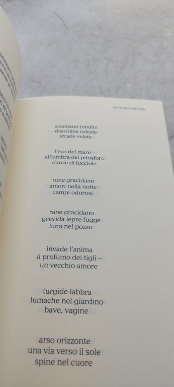 fra la neve che cade alberto figliolia l'universo degli haiku